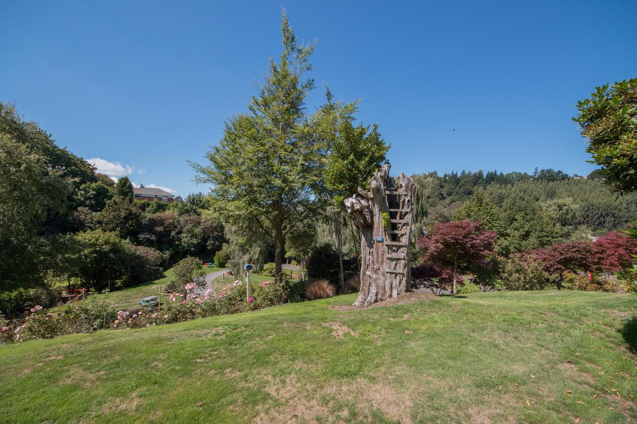 דנידין Aaron Lodge Holiday Park מראה חיצוני תמונה
